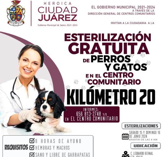 Continua labor de esterilización de mascotas