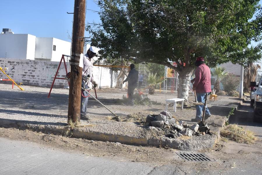 Brindan mantenimiento a parque de Infonavit Frontera