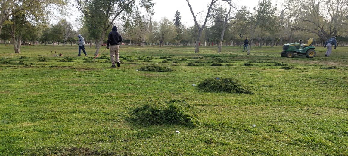 Alistan parque del DIF para eventos vacacionales del DIF