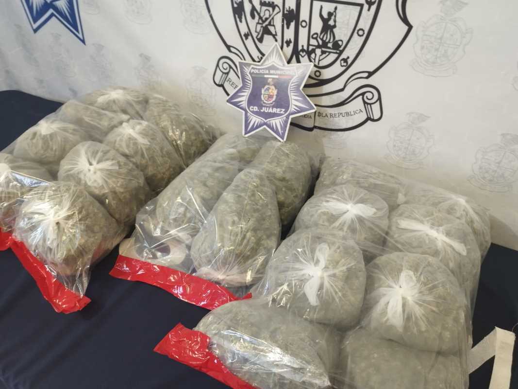 Decomisan 20 libras de marihuana en greña y la detención de un sujeto