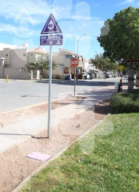 Inicia JMAS con restricción de horarios para riego de parques y jardines