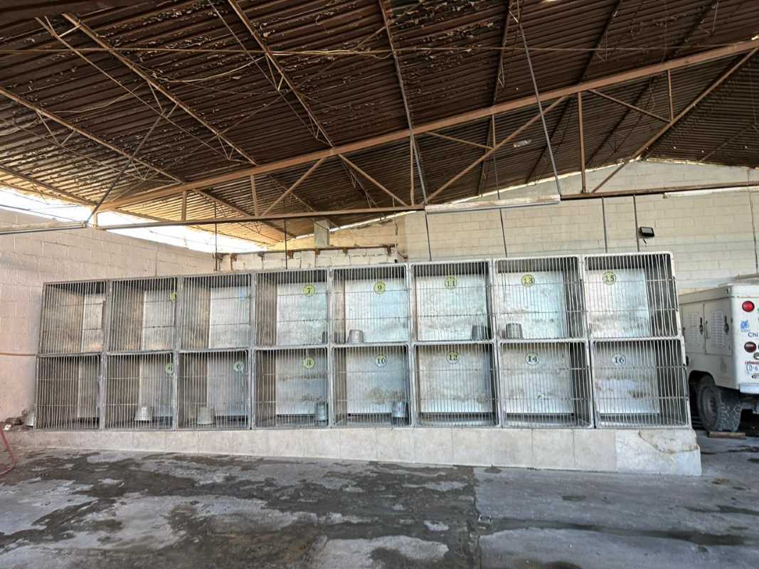 Recibe municipio Centro Antirrábico