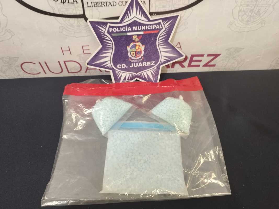 Decomisa SSPM 80 mil pastillas de fentanilo durante enero y febrero.
