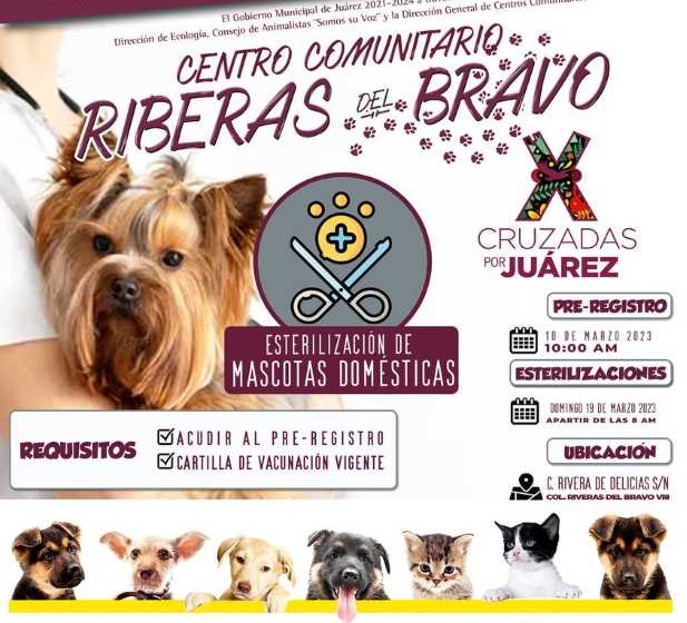 Arrancará esterilización de mascotas en Centro Comunitario Riberas del Bravo