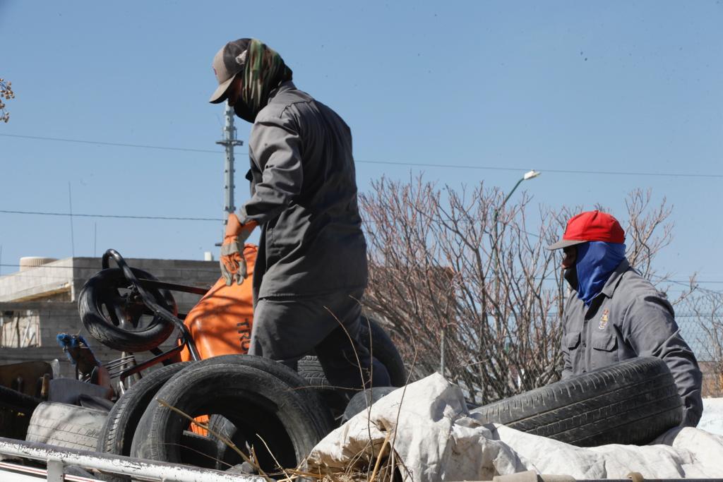 Limpian la colonia Salvarcar