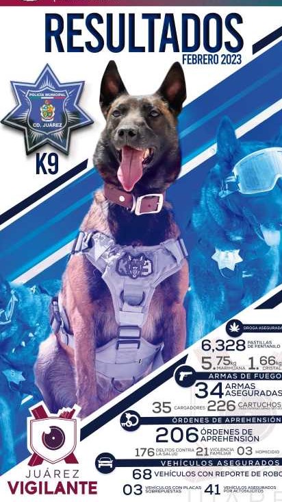 En el mes de febrero la Policía Municipal detuvo a 756 presuntos delincuentes