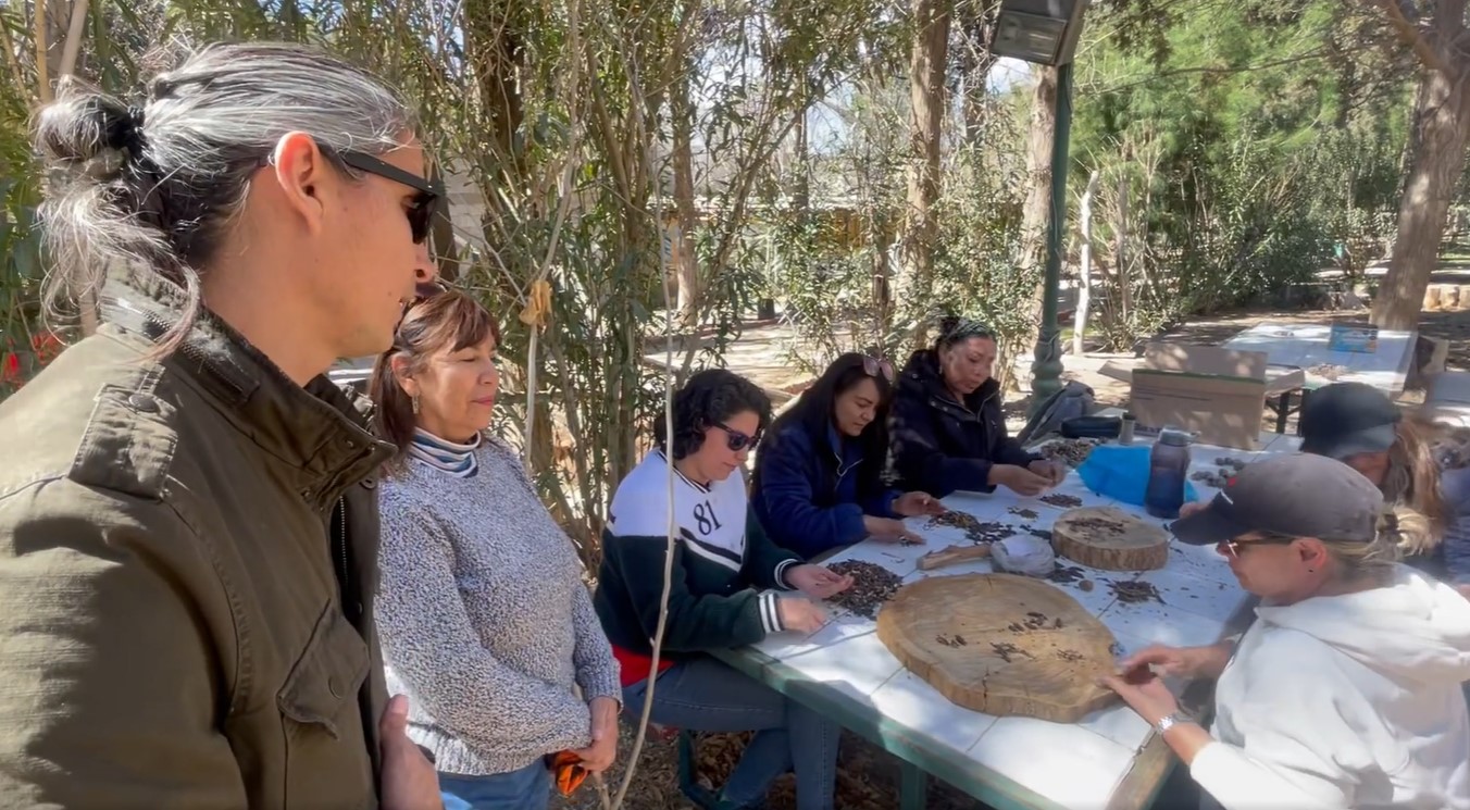 Invitan a formar parte del programa de voluntariado en vivero de El Chamizal