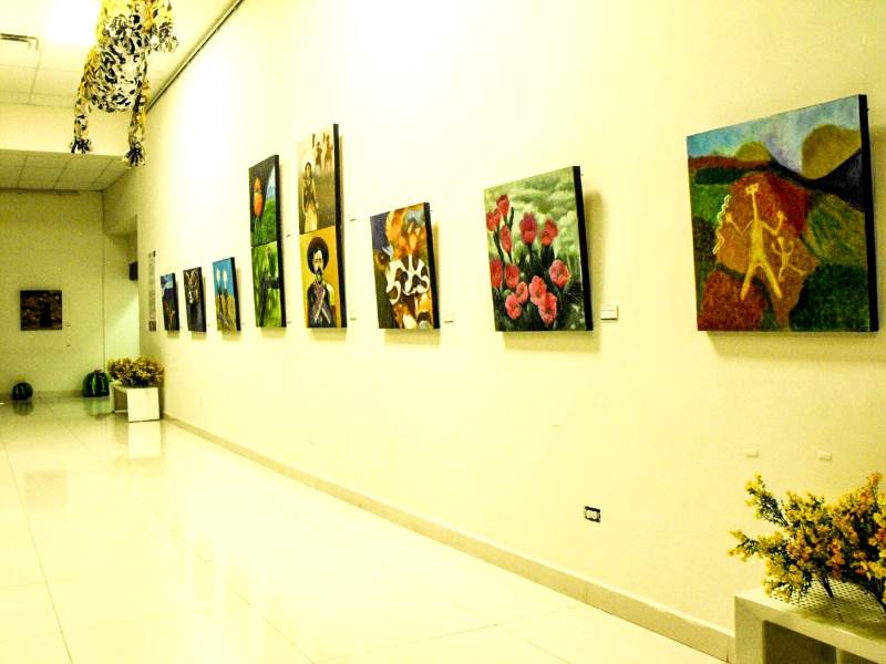 El MAHCH inauguró “Arte y cultura regional”
