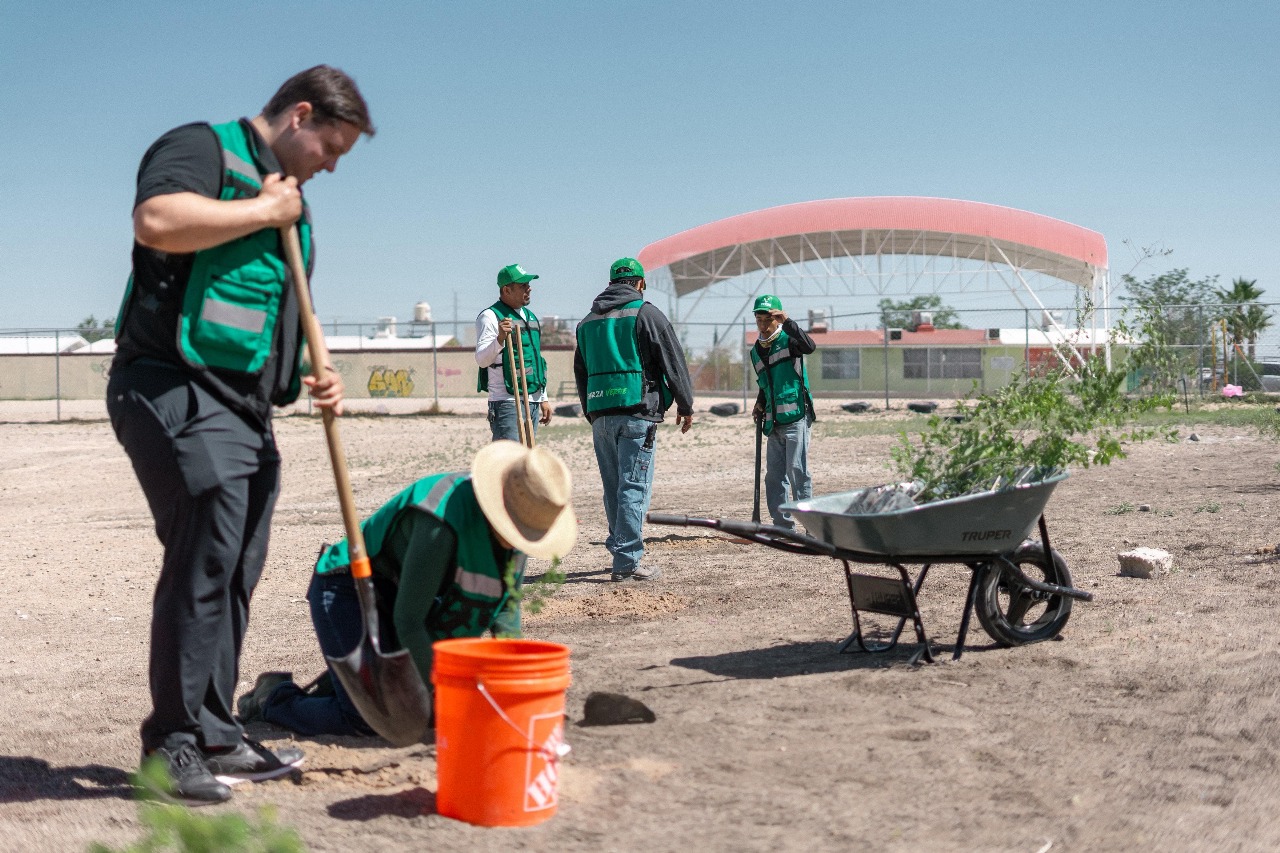 Reporta PVEM más de 500 árboles plantados en mayo.