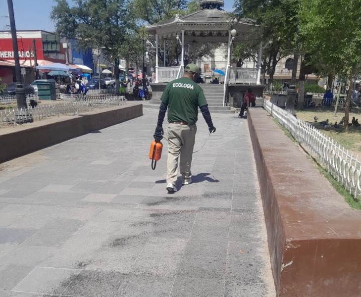 Refuerza Ecología fumigación en el Centro Histórico para prevenir rickettsiosis