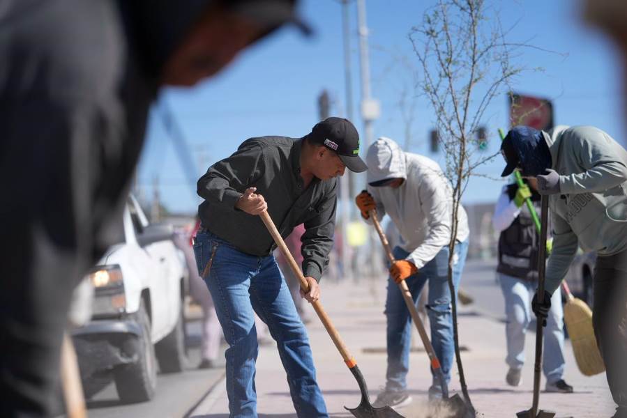 Realizan jornada de reforestación en avenida De los Aztecas