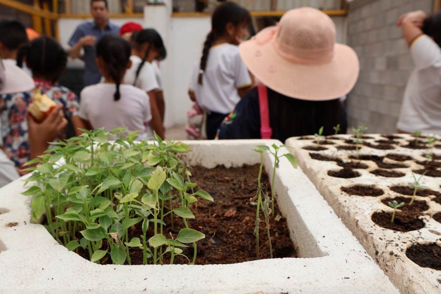 Estudiantes visitan vivero de El Chamizal