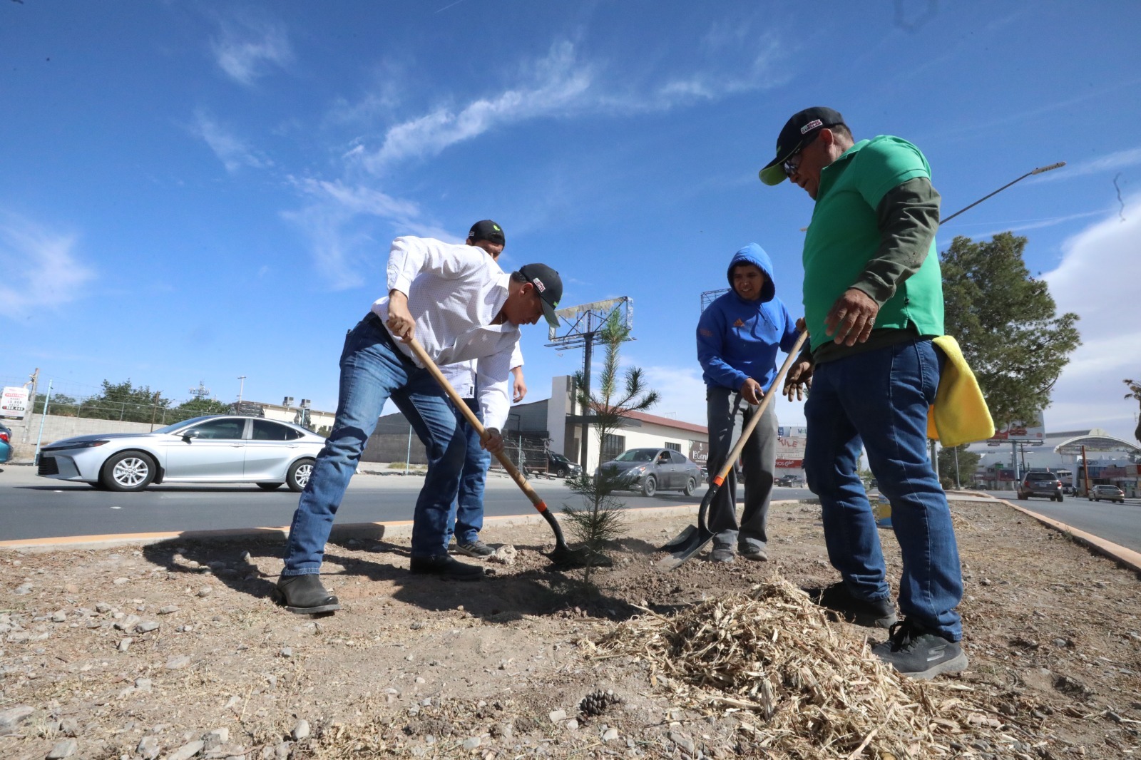 Avanzan con programa de forestación en la ciudad.