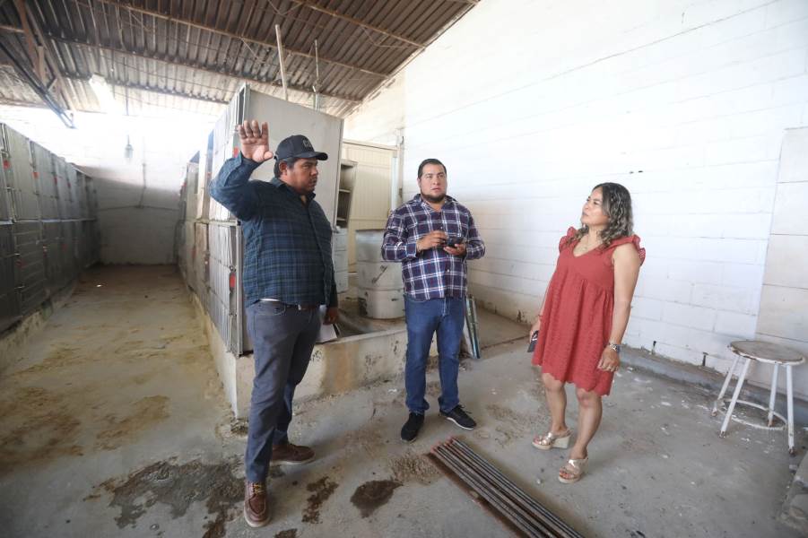 Remodelarán Centro de Bienestar Animal a partir del lunes