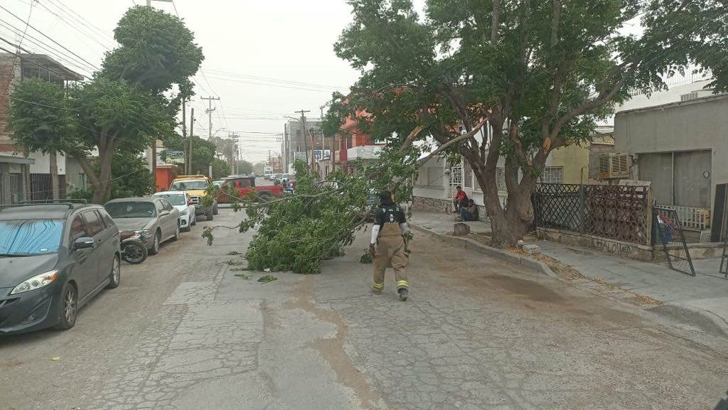 Continúan pronósticos de fuertes vientos este día