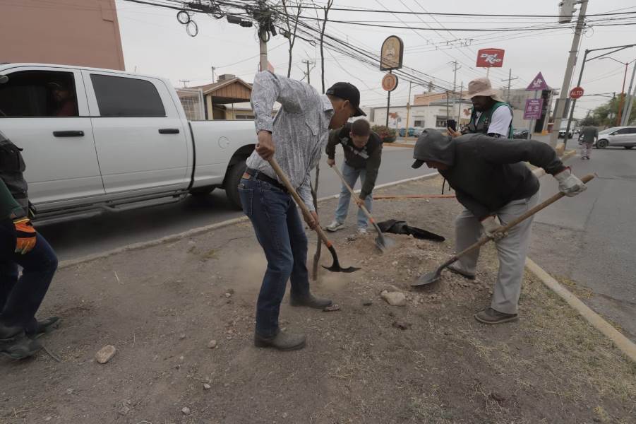 Realizan jornada de reforestación en avenida Hermanos Escobar