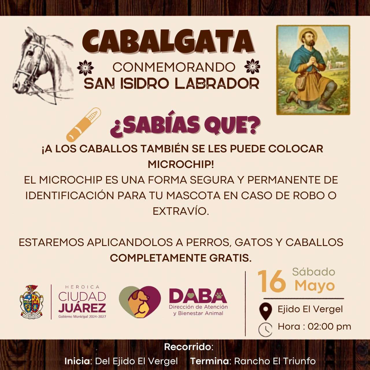 Aplicarán microchips gratuitos para mascotas y caballos en Samalayuca