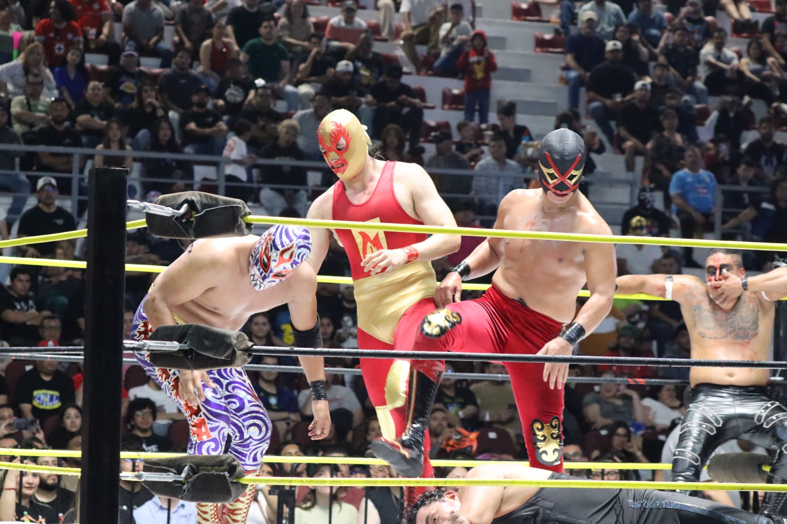 Celebran con éxito función de Lucha Libre.