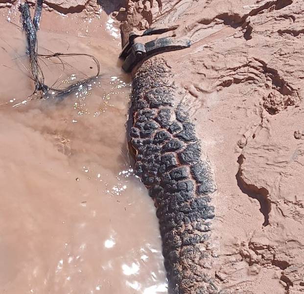 Megafuga de agua, vandalizaron pozo de JMAS