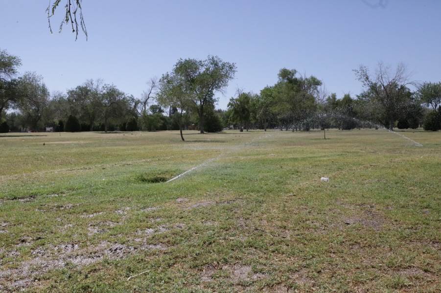 Exhortan a visitantes de El Chamizal a no subir vehículos motorizados a áreas verdes