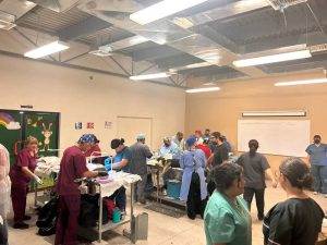 Casi 400 animales esterilizados en Centro Comunitario de Anapra