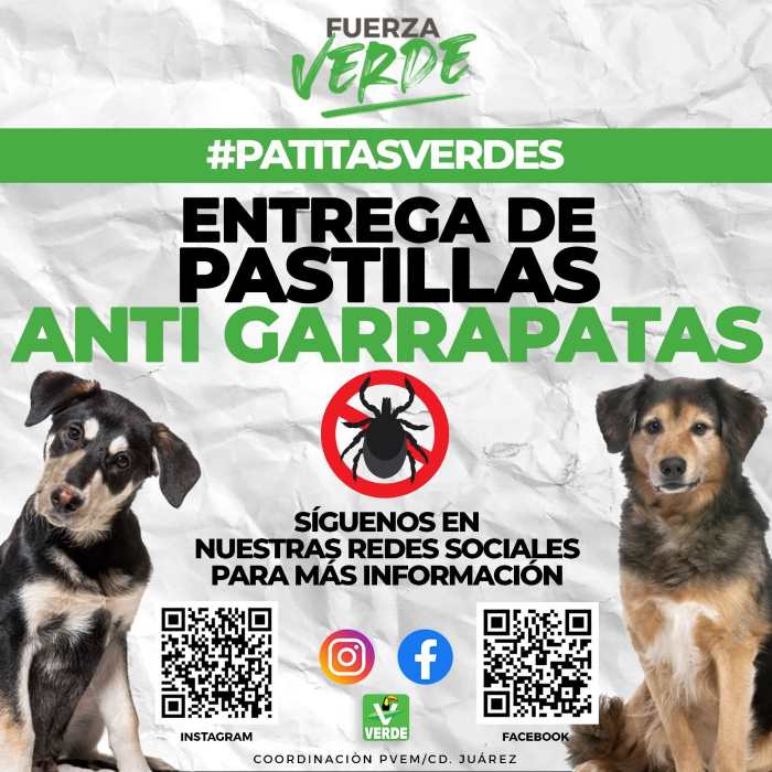Recolectó Partido Verde más de 4 toneladas de PET