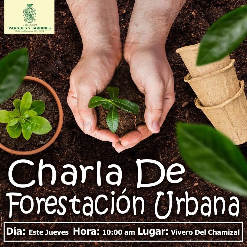 Dirección de Parques y Jardines impartirá cursos de plantación de árboles