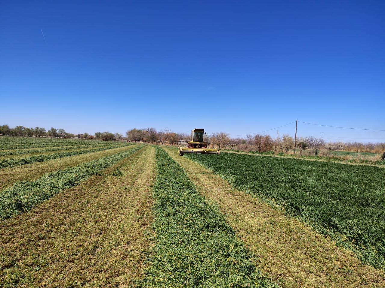 Entrega municipio apoyos para mejorar cultivos en el Valle de Juárez.
