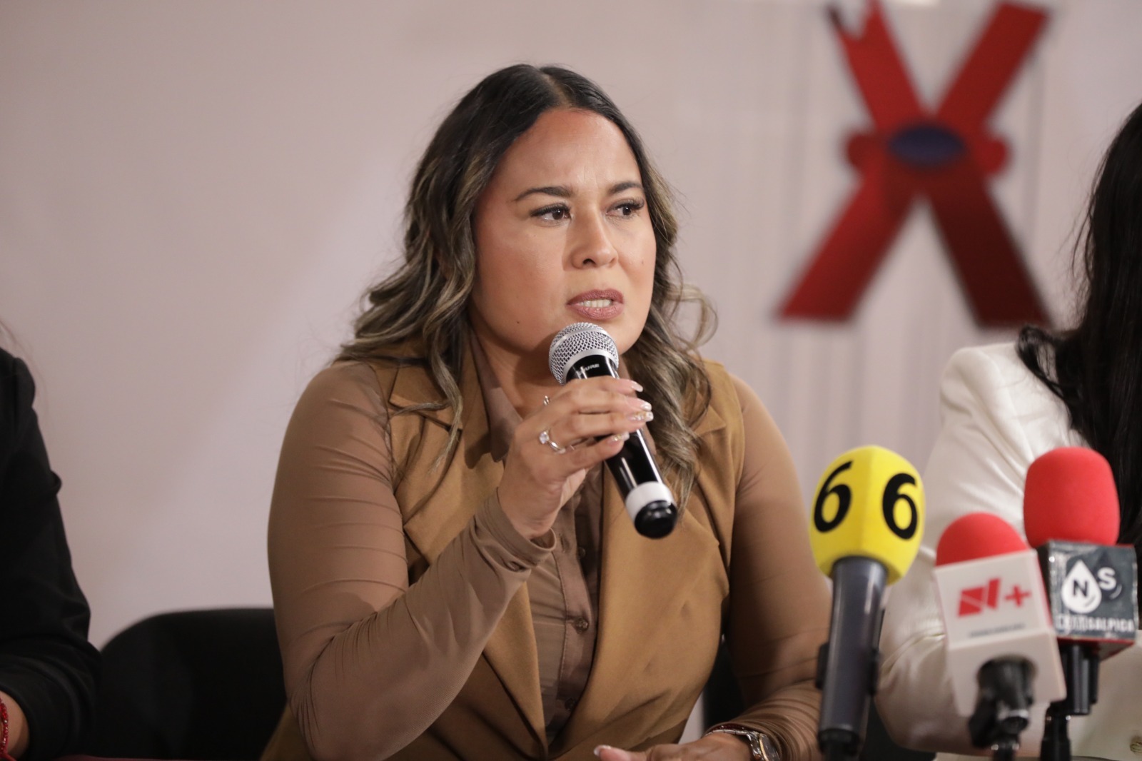 Llaman a ciudadanos a aportar al Reglamento de Bienestar Animal.