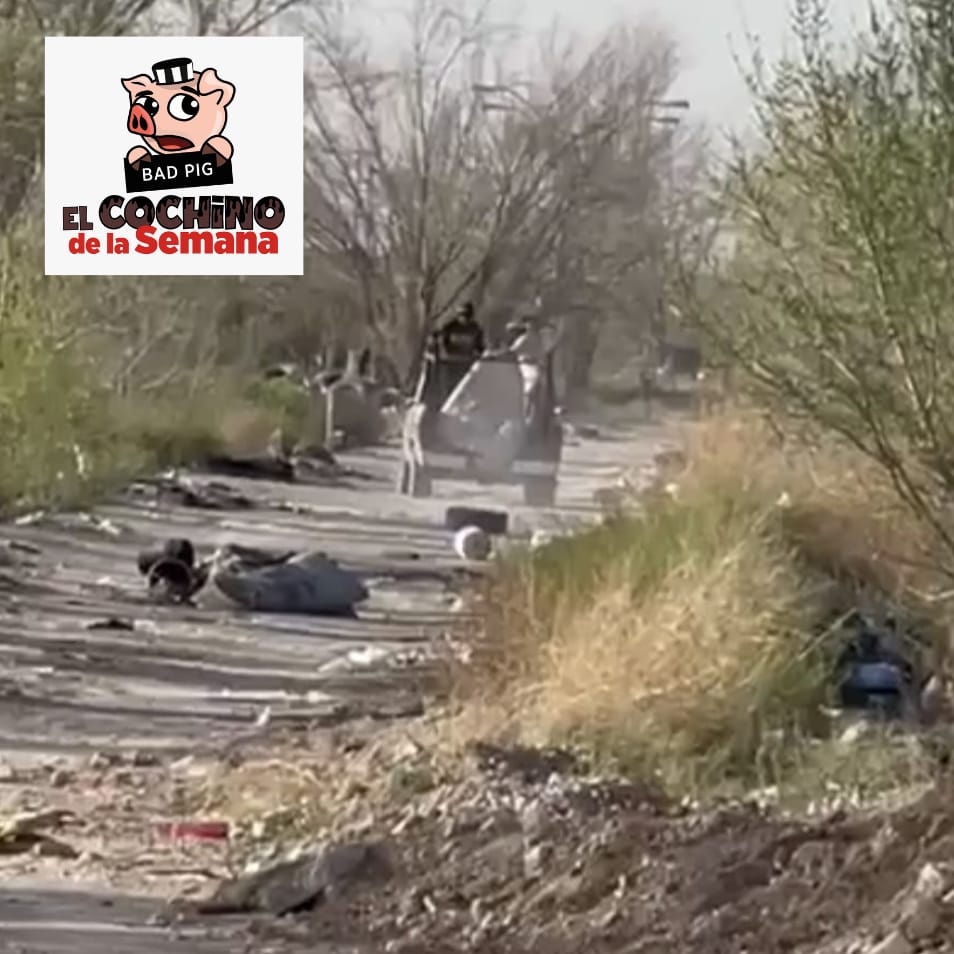 Reportan evidencia para encontrar al Cochino de la Semana.