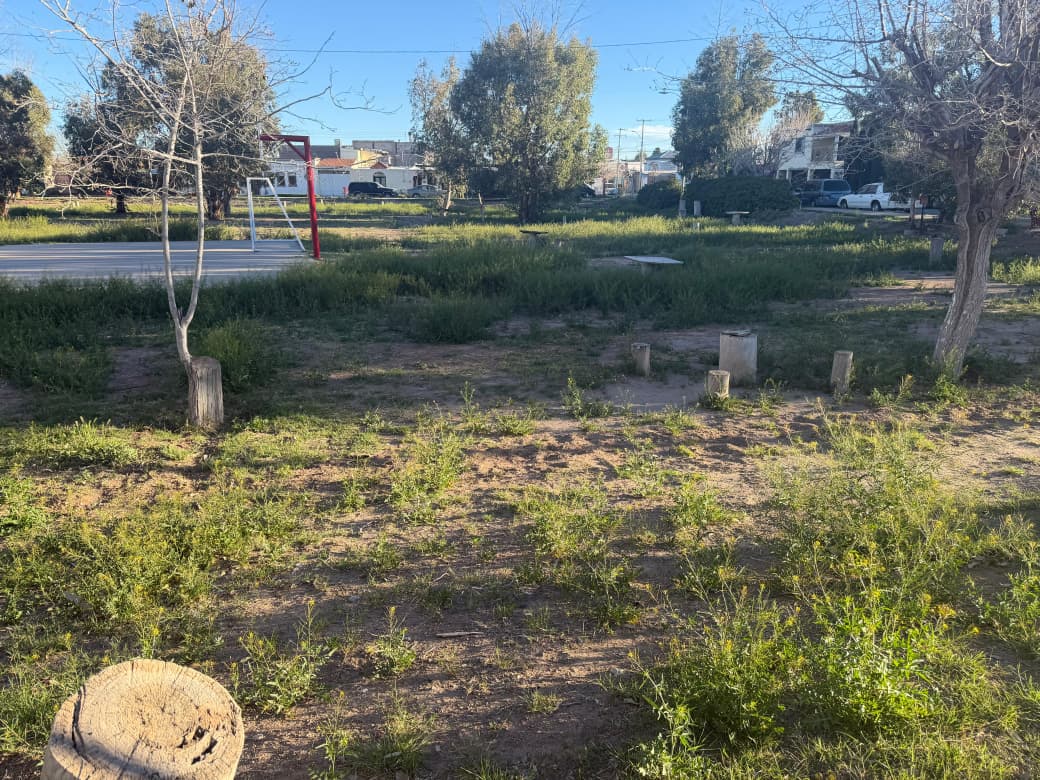 Sigue avance en intervención de parques públicos.