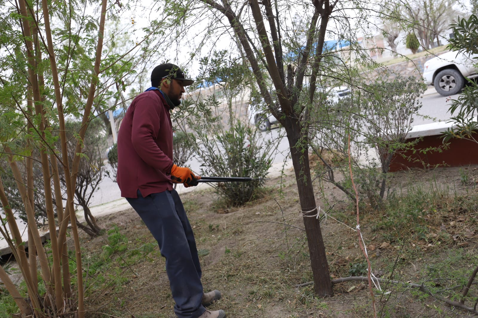 Dan mantenimiento a parque lineal en calle Rivera Lara.