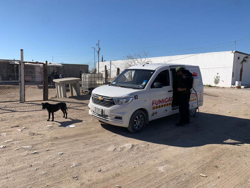 Continúan fumigaciones contra la garrapata en colonias de Ciudad Juárez