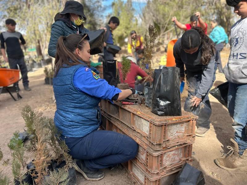 Voluntariado impulsa recuperación de áreas verdes en Ciudad Juárez