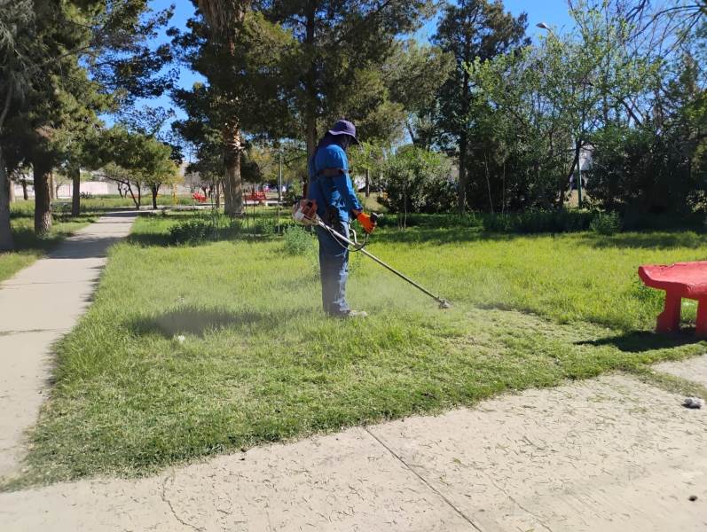 Realizan limpieza en el Parque del fraccionamiento Paula