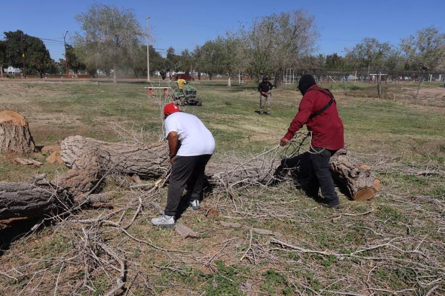 Implementan servicio comunitario en El Chamizal para mantenimiento de áreas verdes