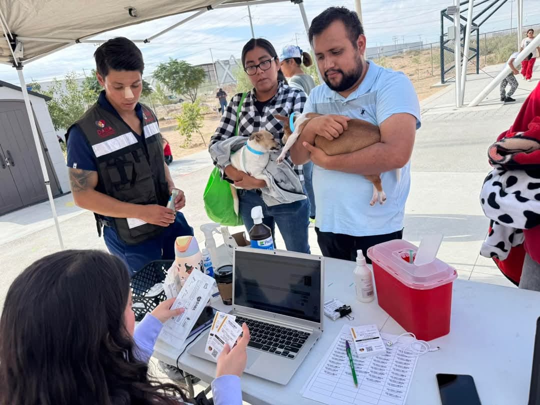 Llama DABA a la prevención de la proliferación de garrapatas.