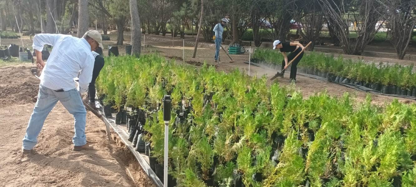 Respuesta positiva en Jornada de Trabajo Voluntario del Parque El Chamizal