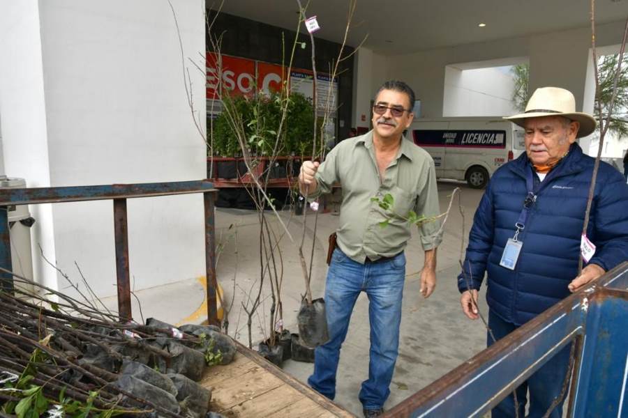 Entrega Estado tres mil árboles de forma gratuita a la población juarense