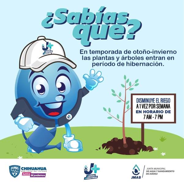 Llama la JMAS  reducir número de riegos en parques y jardines