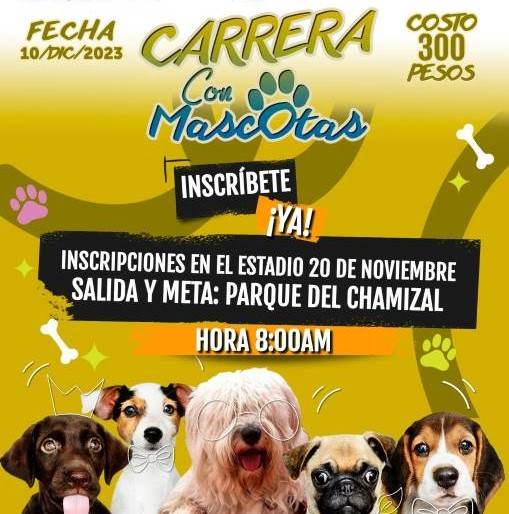 Anuncian la Primer Carrera Con Mascotas en Juárez