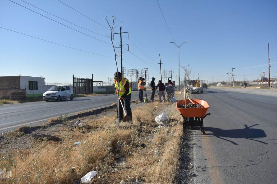Realizan mantenimiento al camellón de la avenida Panamericana
