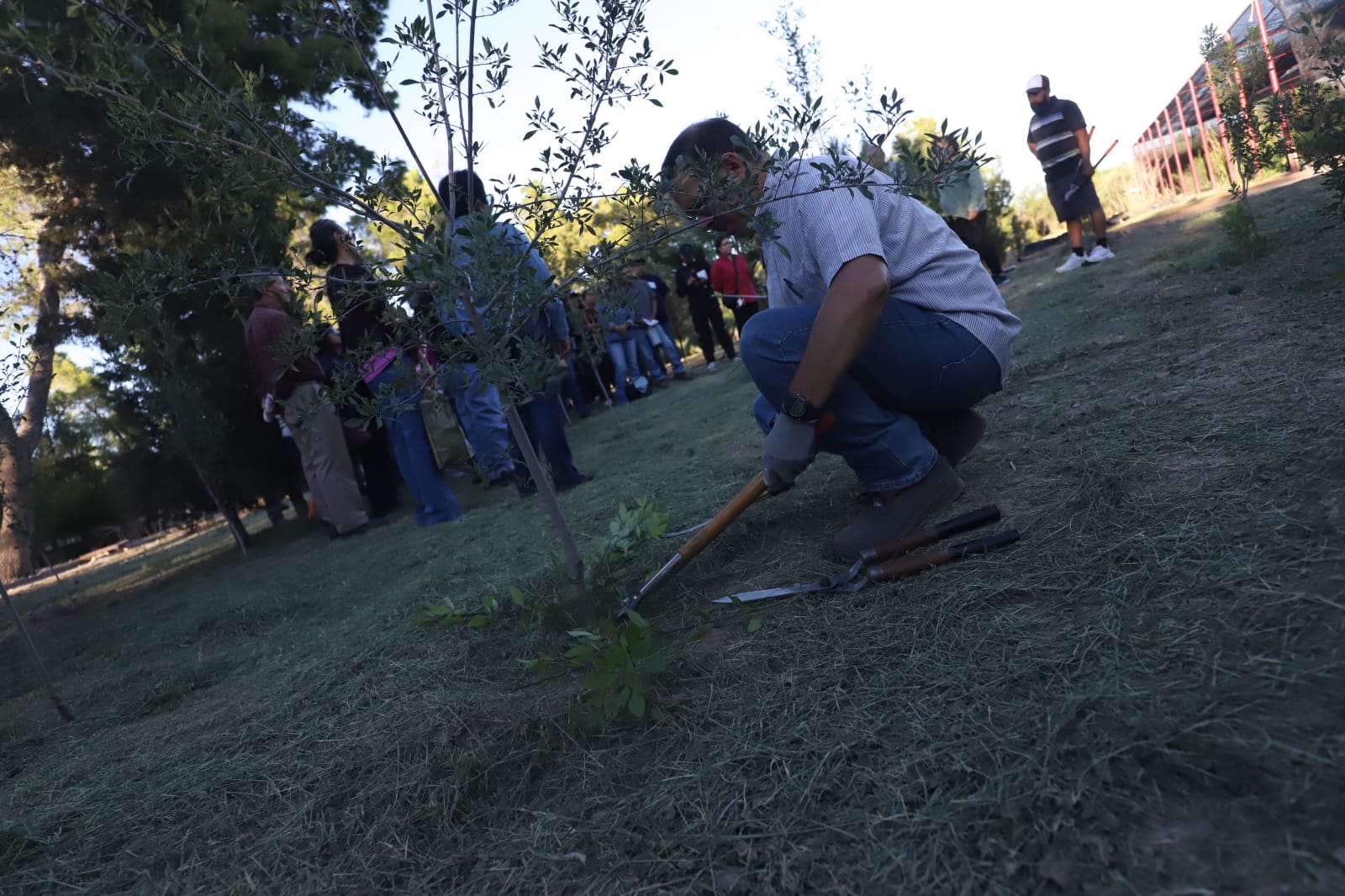 Capacitan a ciudadanos para cuidar los árboles y recuperar áreas verdes en Juárez