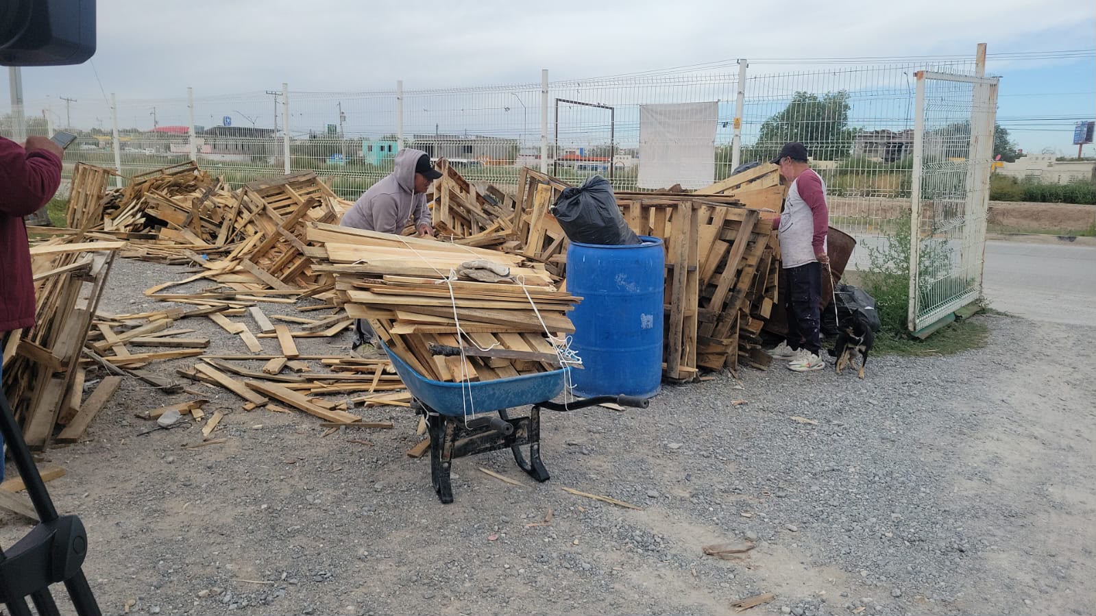 Arranca entrega gratuita de leña en Juárez ante la llegada del frío