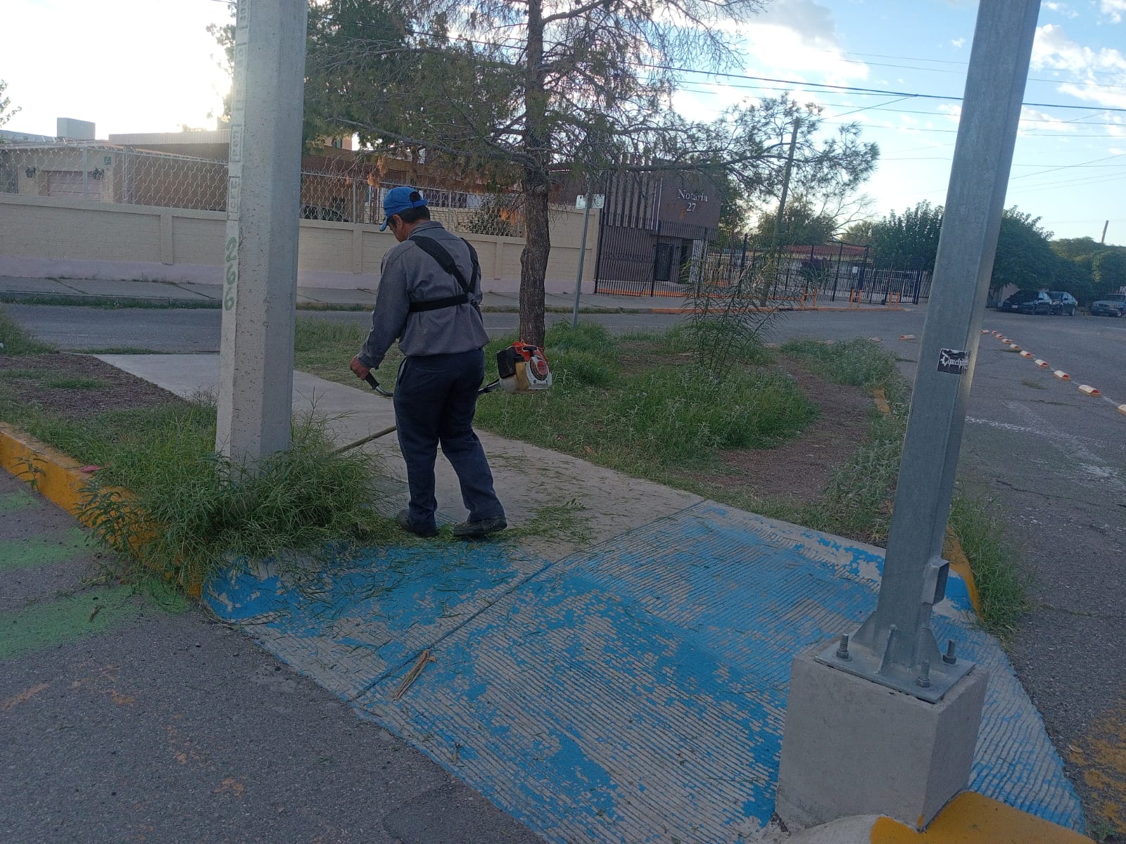 Realizan limpieza y poda en camellón de la avenida Lara Leos