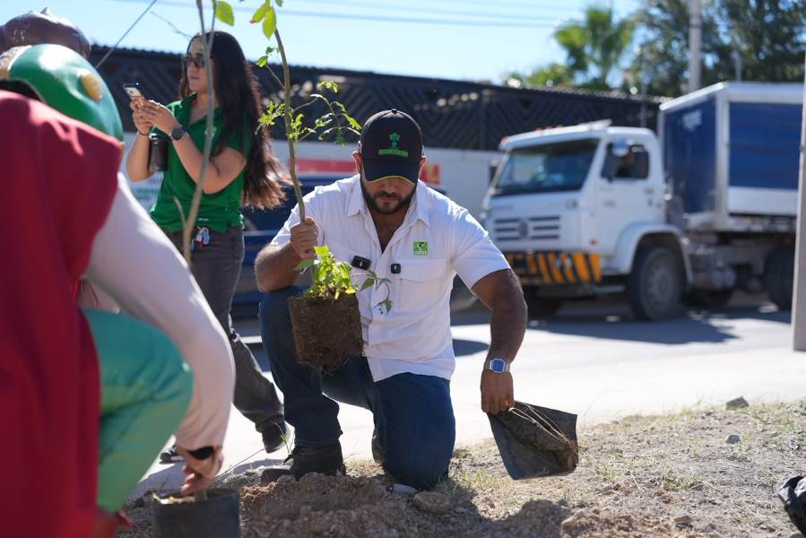 Plantan 115 fresnos en 34 tiendas de Juárez con programa de reforestación