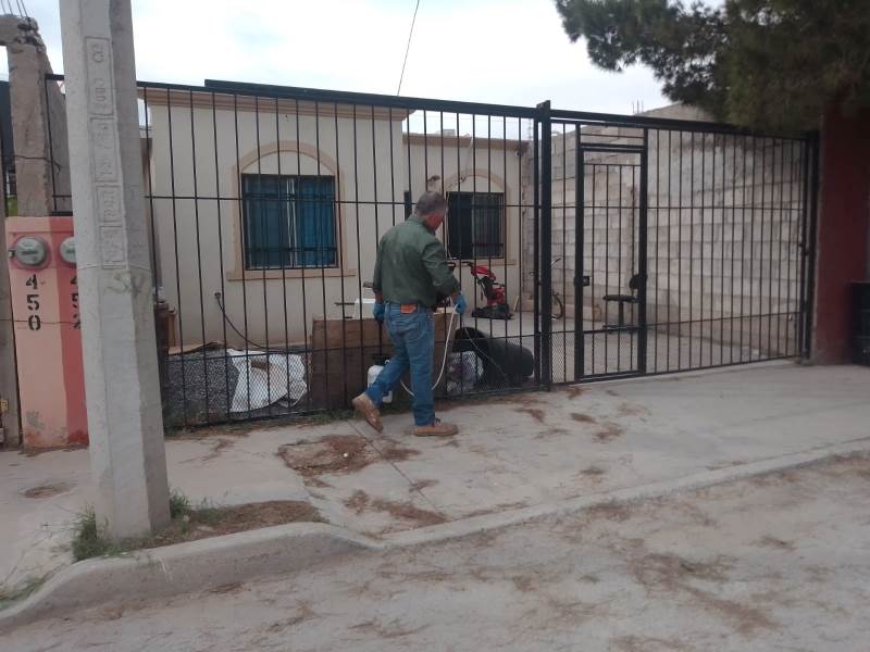 Atiende Ecología 2 mil 700 viviendas a través del programa de fumigación