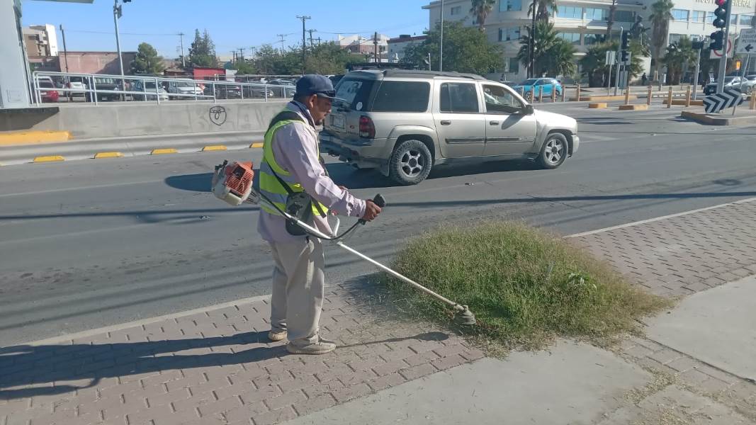 Mantienen atención de limpieza en avenidas principales de la ciudad