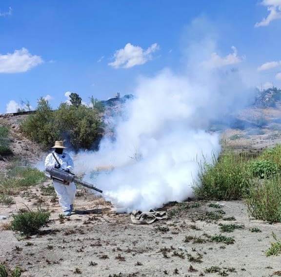 Refuerzan vigilancia contra el dengue en Juárez tras temporada de lluvias