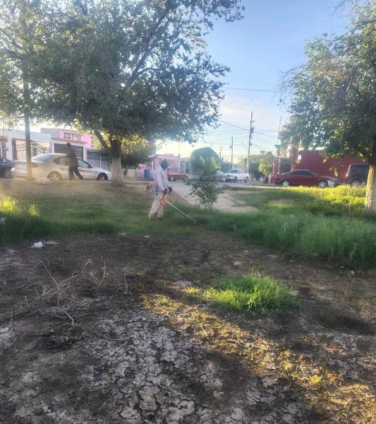Dan mantenimiento a parque de Infonavit Casas Grandes